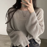 Loose Silhouette Sheer Knit Tops