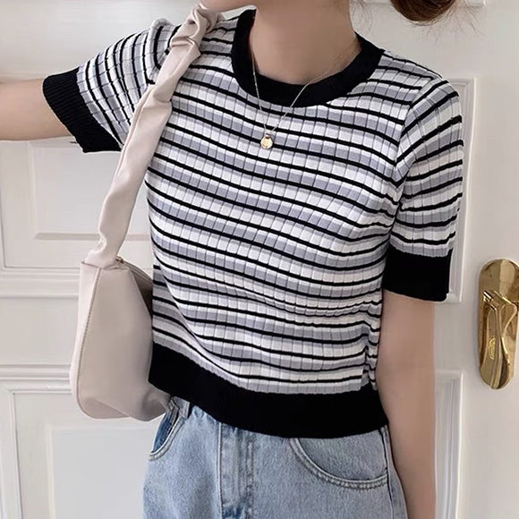 Multi Border Cropped Tops