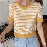 Multi Border Cropped Tops