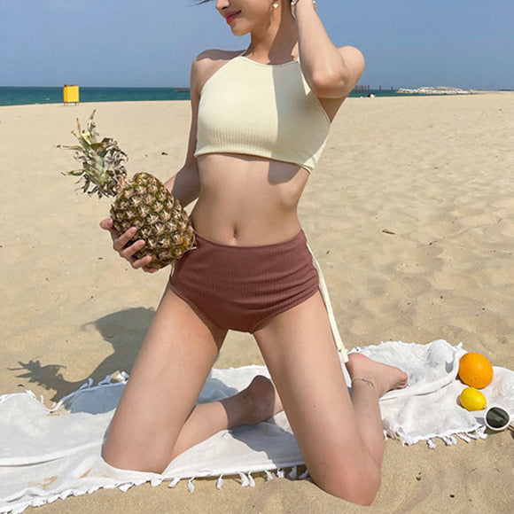Halter Neck Cami Design Bicolor Bikini